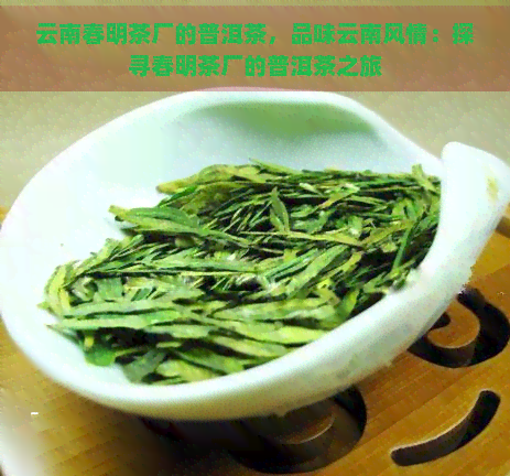 云南春明茶厂的普洱茶，品味云南风情：探寻春明茶厂的普洱茶之旅