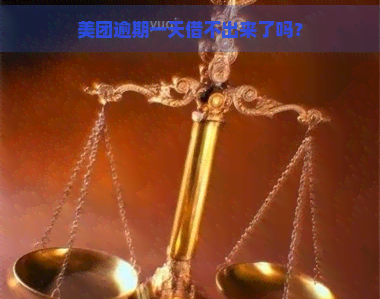 美团逾期一天借不出来了吗？