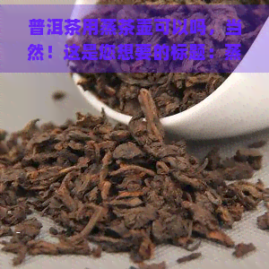 普洱茶用蒸茶壶可以吗，当然！这是您想要的标题：蒸茶壶适合泡普洱茶吗？