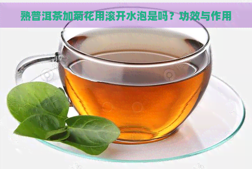 熟普洱茶加菊花用滚开水泡是吗？功效与作用