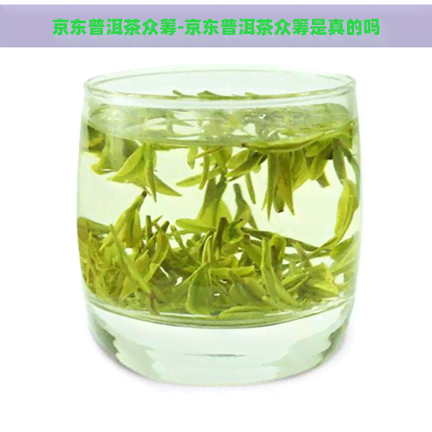 京东普洱茶众筹-京东普洱茶众筹是真的吗