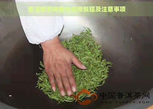 普洱茶怎样翻仓视频教程及注意事项