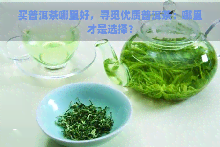 买普洱茶哪里好，寻觅优质普洱茶：哪里才是选择？