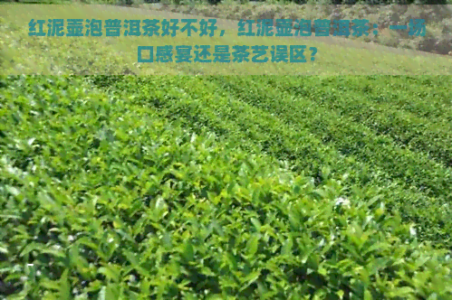 红泥壶泡普洱茶好不好，红泥壶泡普洱茶：一场口感宴还是茶艺误区？