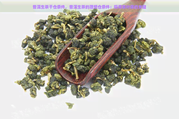 普洱生茶干仓条件，普洱生茶的理想仓条件：探寻茶叶保的关键