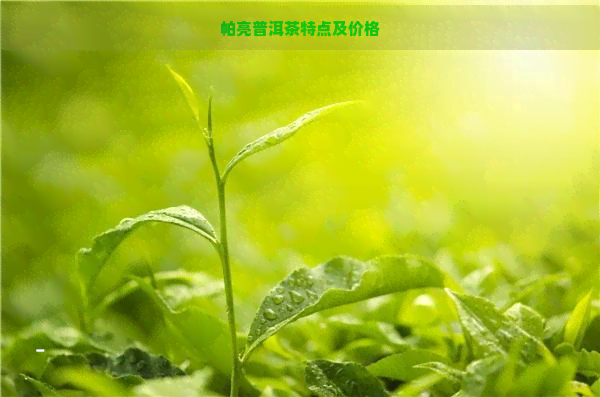 帕亮普洱茶特点及价格