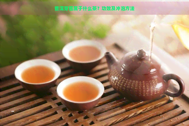 普洱芽苞属于什么茶？功效及冲泡方法