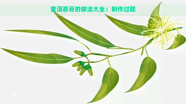 普洱茶膏的做法大全：制作过程