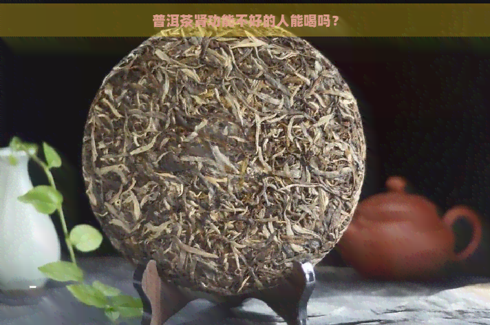 普洱茶肾功能不好的人能喝吗？