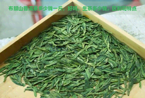 布朗山普洱茶多少钱一斤，好吗，生茶多少钱，区别和特点