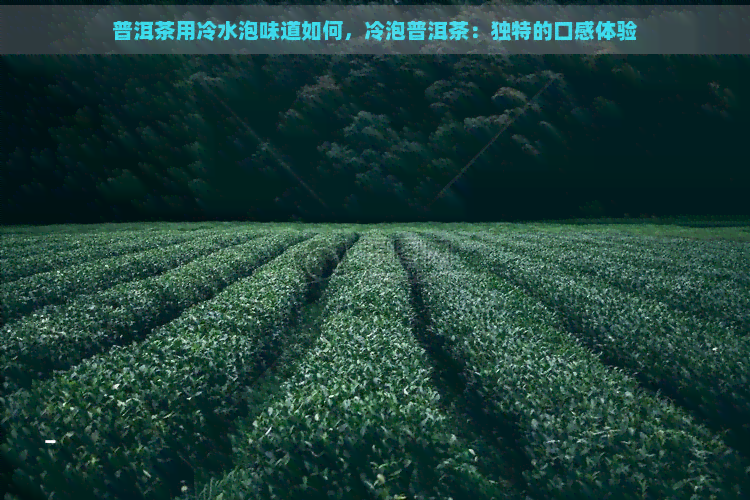 普洱茶用冷水泡味道如何，冷泡普洱茶：独特的口感体验