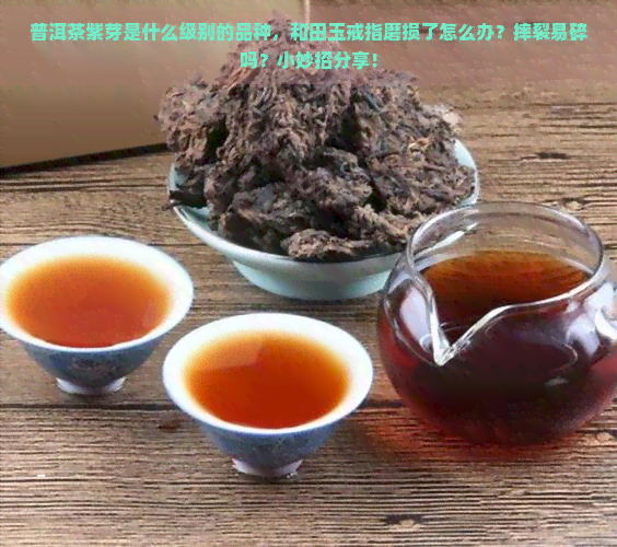 普洱茶紫芽是什么级别的品种，和田玉戒指磨损了怎么办？摔裂易碎吗？小妙招分享！