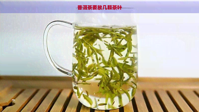 普洱茶要放几颗茶叶