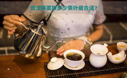 普洱茶要放多少茶叶最合适？