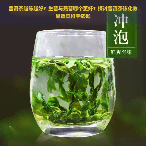 普洱茶越陈越好？生普与熟普哪个更好？探讨普洱茶陈化效果及其科学依据