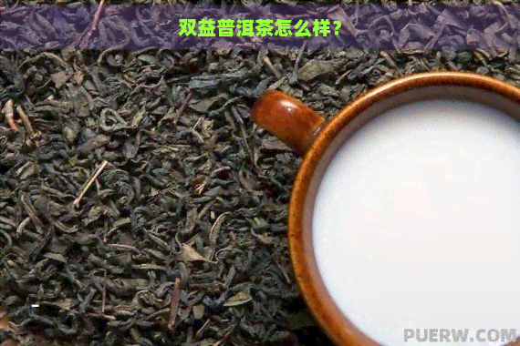 双益普洱茶怎么样？