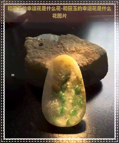 和田玉的幸运花是什么花-和田玉的幸运花是什么花图片