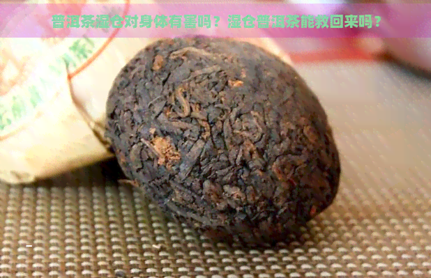 普洱茶湿仓对身体有害吗？湿仓普洱茶能救回来吗？