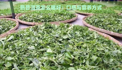 熟普洱茶怎么喝好：口感与营养方式