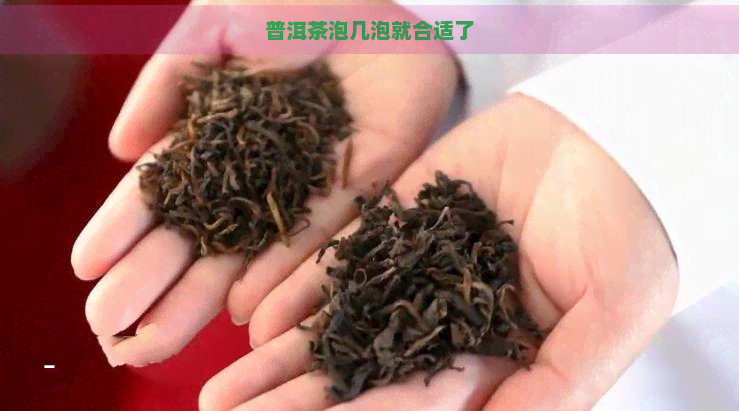 普洱茶泡几泡就合适了