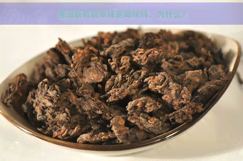 普洱茶有稻草味是霉味吗，为什么？