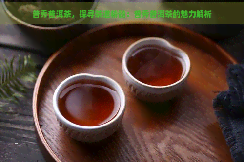 普秀普洱茶，探寻茶道精髓：普秀普洱茶的魅力解析