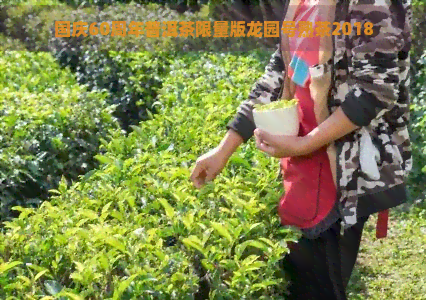 国庆60周年普洱茶限量版龙园号熟茶2018