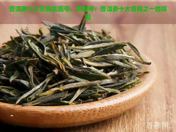 普洱茶十大名牌龙园号，龙园号：普洱茶十大名牌之一的探索