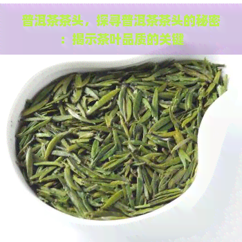 普洱茶茶头，探寻普洱茶茶头的秘密：揭示茶叶品质的关键