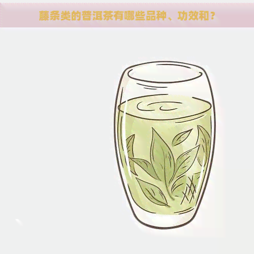 藤条类的普洱茶有哪些品种、功效和？