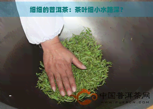 细细的普洱茶：茶叶细小水路深？