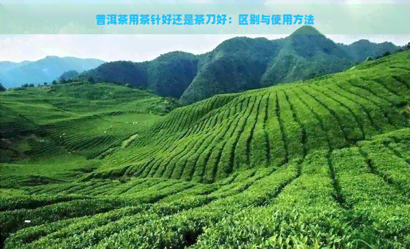 普洱茶用茶针好还是茶刀好：区别与使用方法