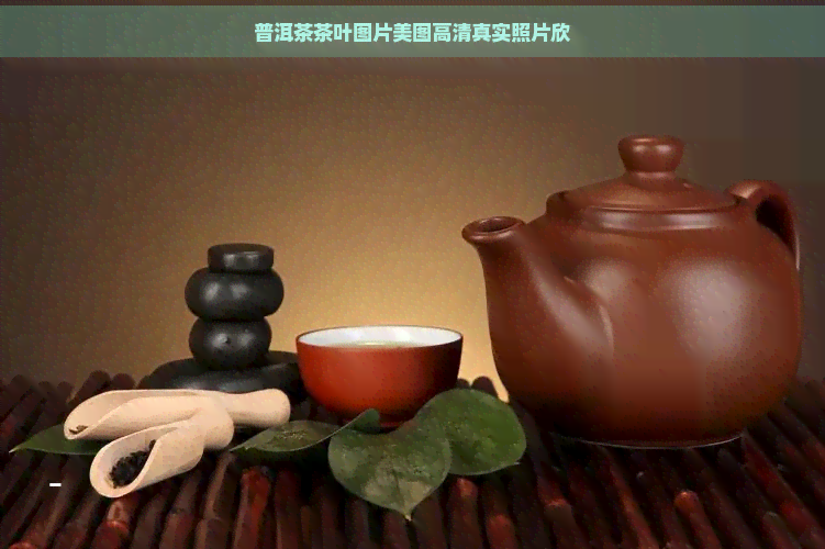 普洱茶茶叶图片美图高     实照片欣