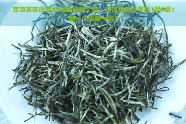 普洱茶茶叶等级1至9级哪个好，普洱茶茶叶等级1至9级：哪一个更胜一筹？