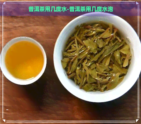 普洱茶用几度水-普洱茶用几度水泡