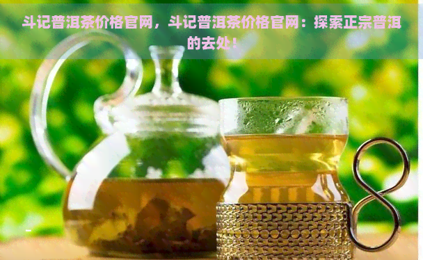 斗记普洱茶价格官网，斗记普洱茶价格官网：探索正宗普洱的去处！