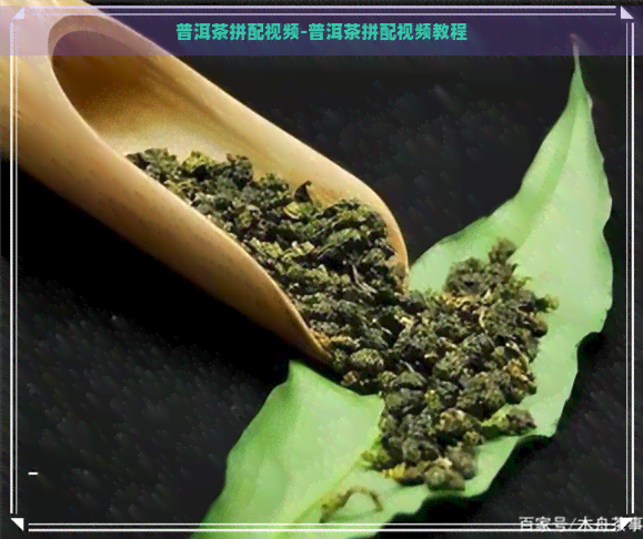 普洱茶拼配视频-普洱茶拼配视频教程