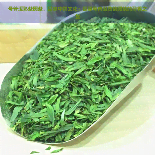 号普洱熟茶圆茶，品味中国文化：探寻号普洱熟茶圆茶的醇香之旅