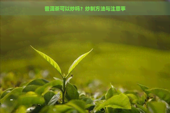 普洱茶可以炒吗？炒制方法与注意事