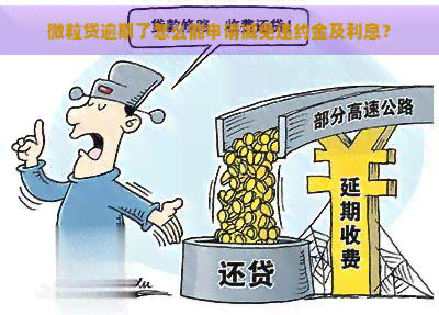 微粒贷逾期了怎么能申请减免违约金及利息？