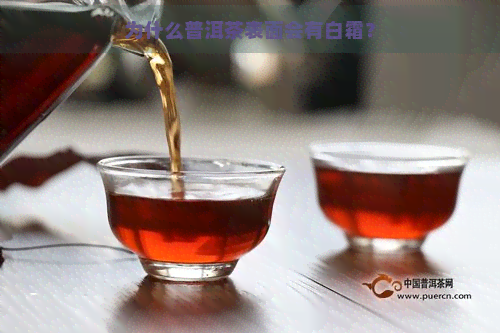 为什么普洱茶表面会有白霜？