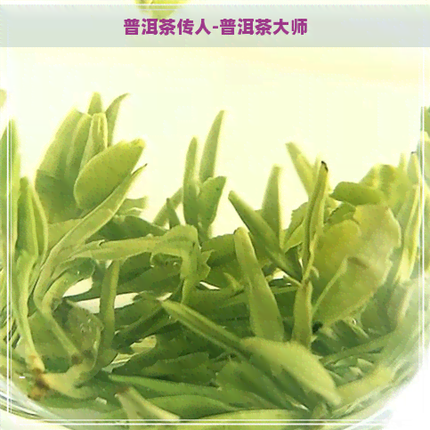 普洱茶传人-普洱茶大师