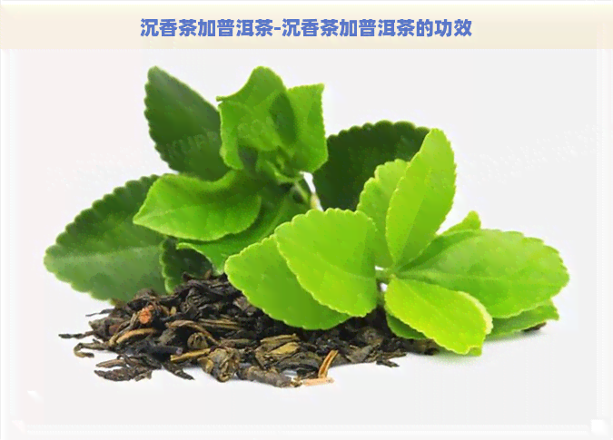 沉香茶加普洱茶-沉香茶加普洱茶的功效