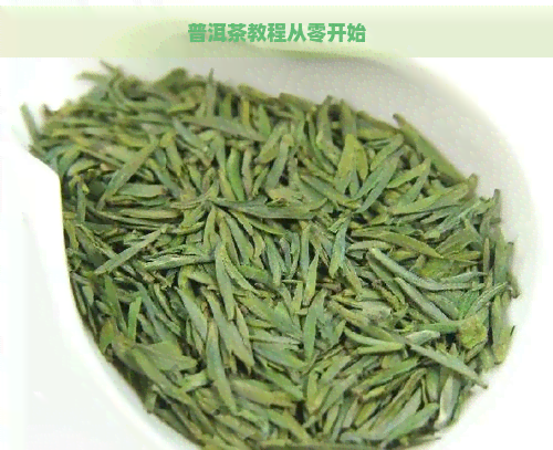 普洱茶教程从零开始