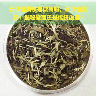 云顶普洱茶是微商吗，云顶普洱茶：揭秘微商还是传统渠道？