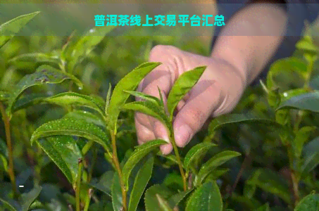 普洱茶线上交易平台汇总