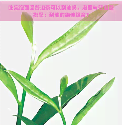 吃完泡面喝普洱茶可以刮油吗，泡面与普洱茶搭配：刮油的绝佳组合？