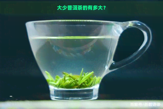 大少普洱茶的有多大？