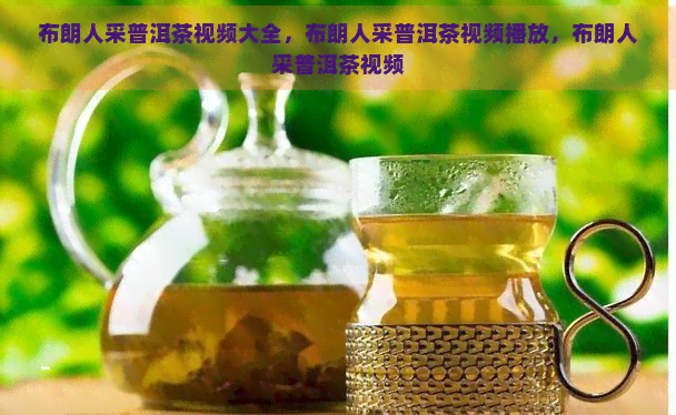 布朗人采普洱茶视频大全，布朗人采普洱茶视频播放，布朗人采普洱茶视频