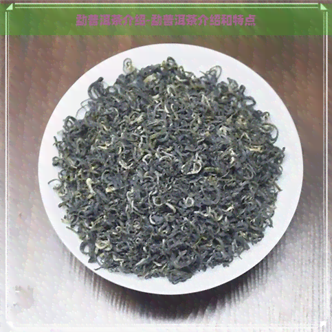 勐普洱茶介绍-勐普洱茶介绍和特点